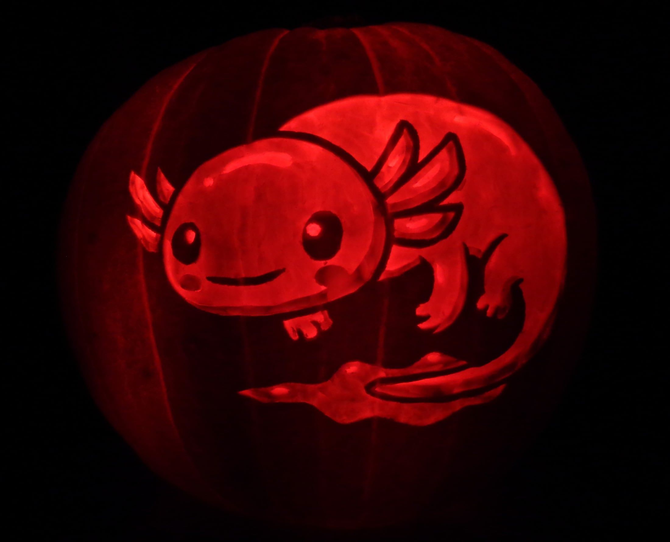 Axolotl image preview