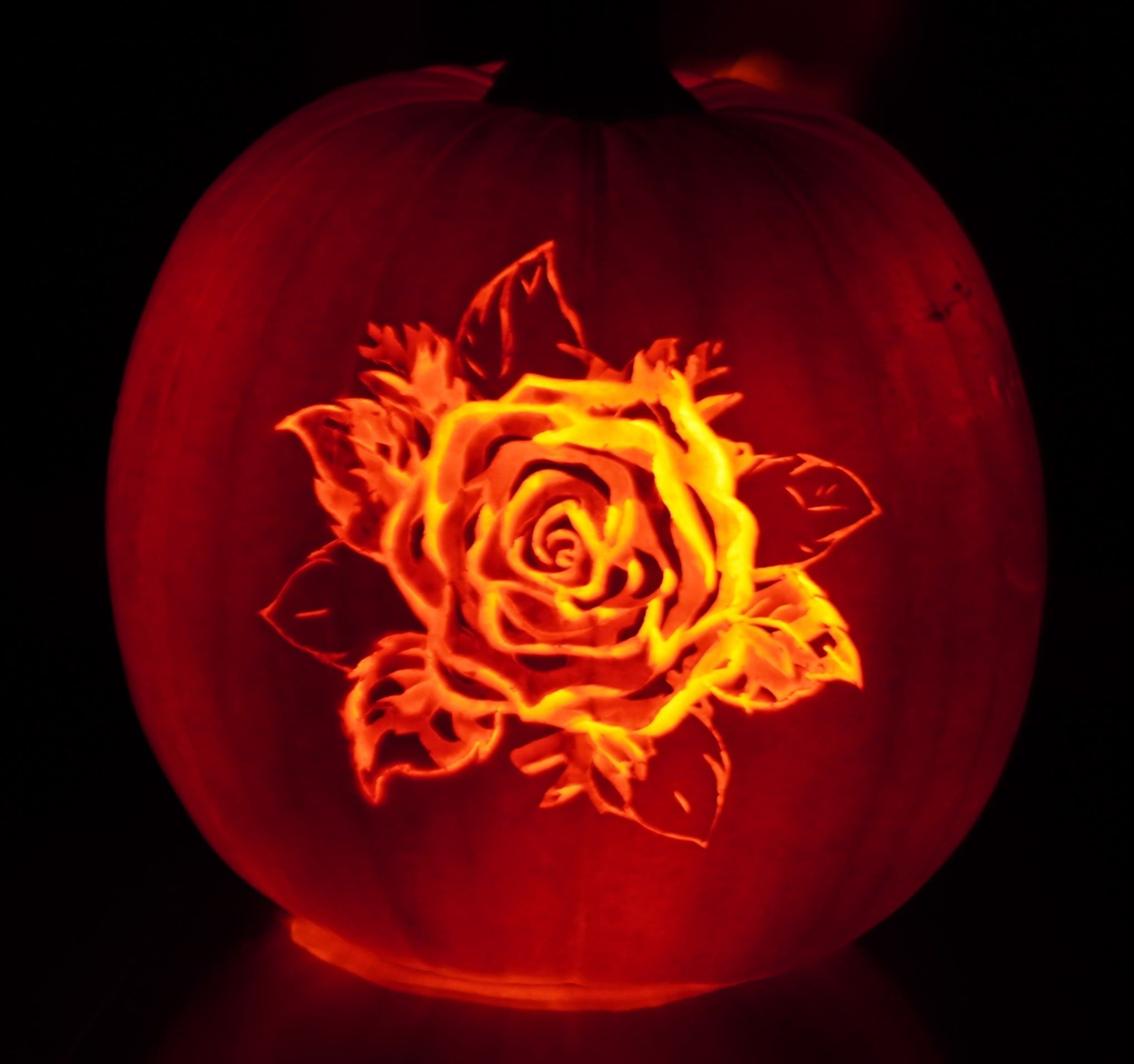 Fiery Rose image preview